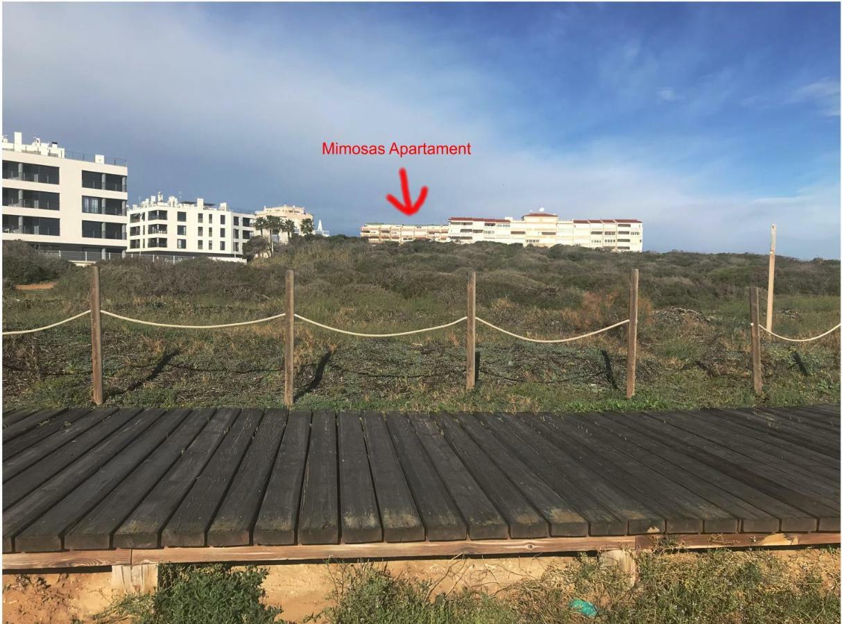 Mimosa Apartment Guardamar del Segura Eksteriør bilde